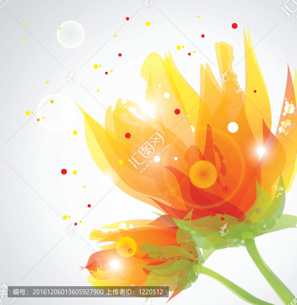 透明的花