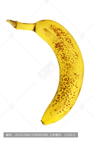 香蕉老壞