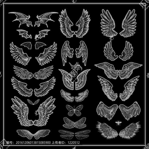 機(jī)翼集