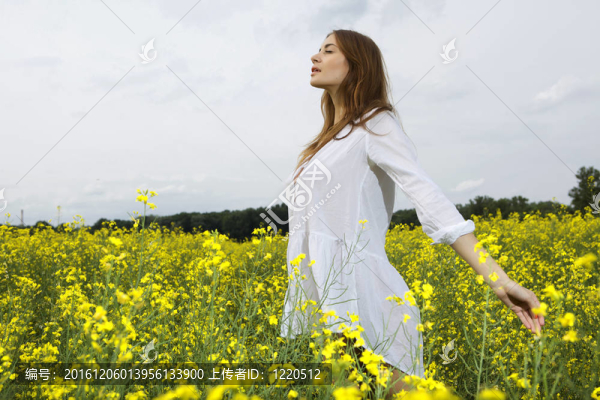 黑發(fā)女人在黃色的花田