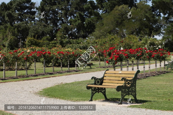 坐在長(zhǎng)椅上的花園