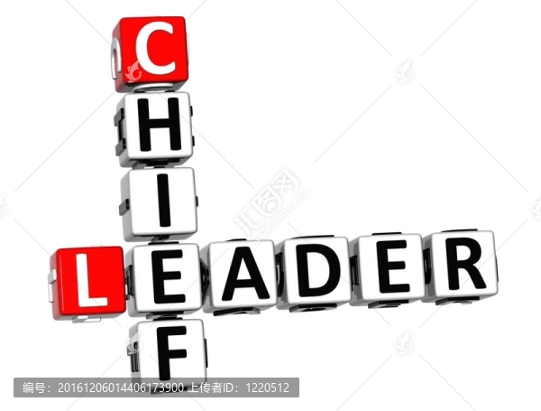 3D領(lǐng)頭羊Chief,Crossword