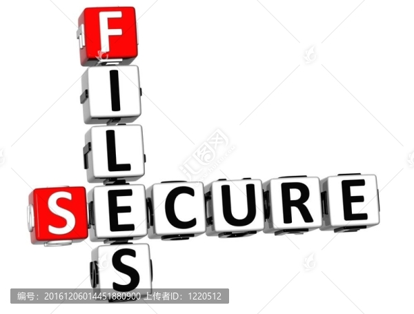 3dsecure文件填字