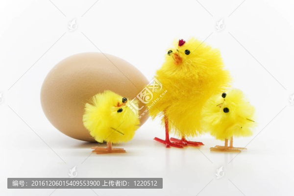 復(fù)活節(jié)小雞