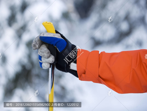 手和滑雪桿