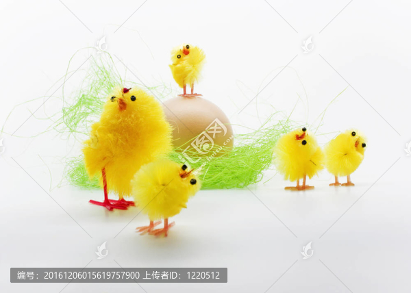 復活節(jié)小雞