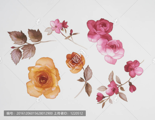 水彩畫中花的色彩闡釋