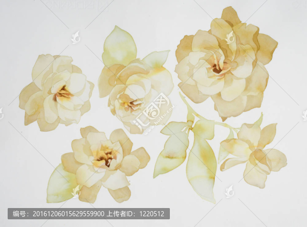 水彩畫(huà)中花的色彩闡釋