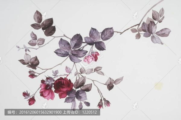 水彩畫中花的色彩闡釋