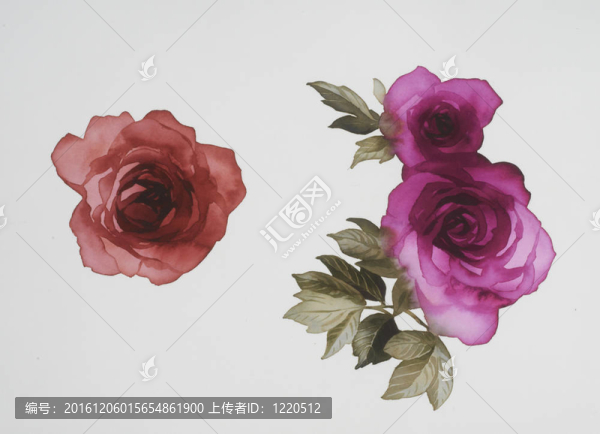 水彩畫(huà)中花的色彩闡釋