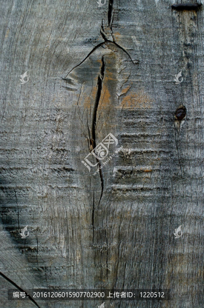 木質(zhì)的表面-匯圖網(wǎng) www.fosd68.com 木質(zhì)的表面