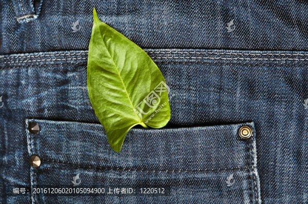 牛仔褲的口袋里