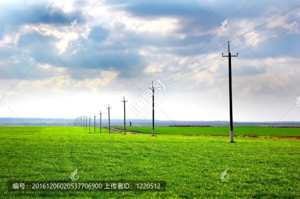 春田藍天