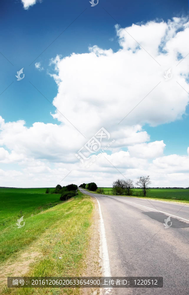 穿越綠地的道路