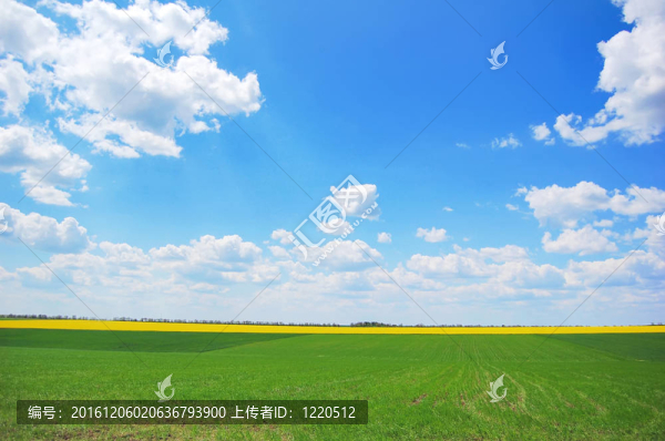春田藍天