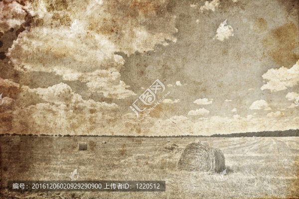 在農(nóng)村，金色的包。復(fù)古風(fēng)格的照片