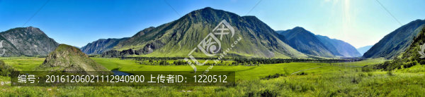 阿爾泰山。丘雷什曼河流域。從磁石看