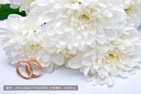 結(jié)婚戒指和白菊花2