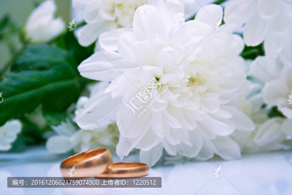 結(jié)婚戒指和白菊花