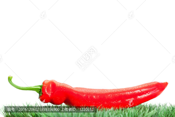 草坪紅辣椒