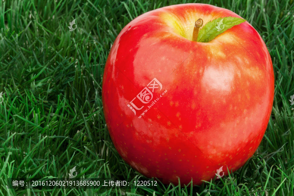 紅蘋果葉