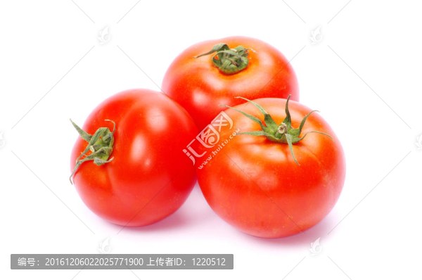 番茄