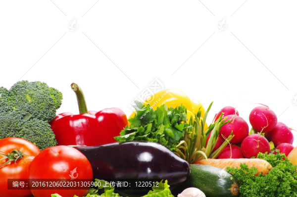 蔬菜