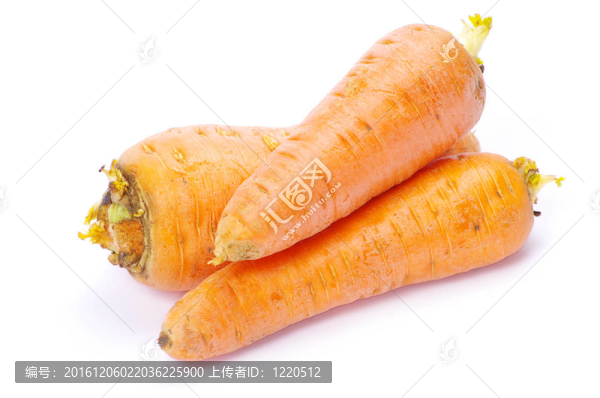 胡蘿卜