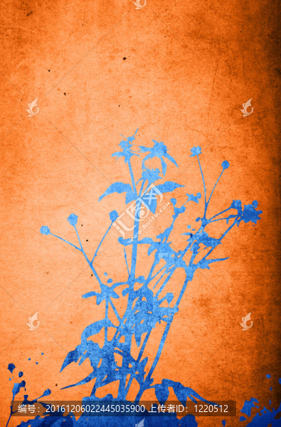 花摘要
