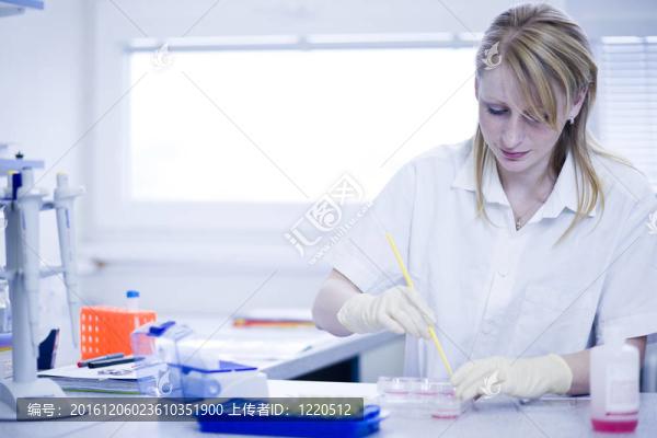 女研究員在實驗室做研究