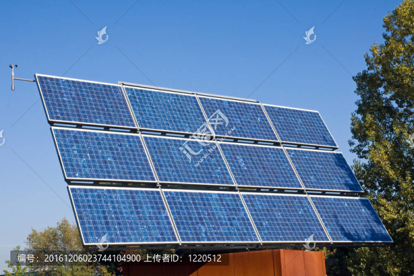 太陽能電池板和樹木
