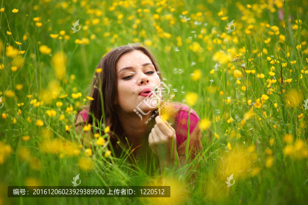 女人吹蒲公英