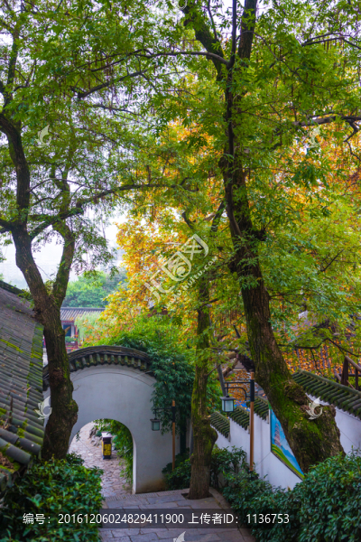 中式園林