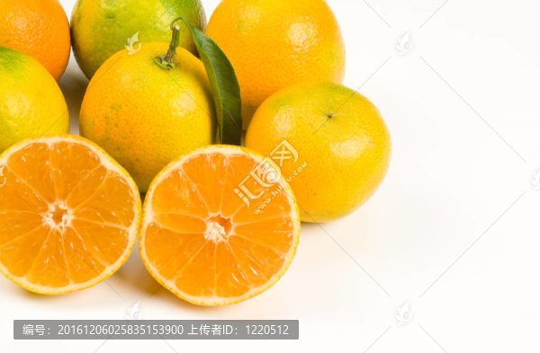 橘子收成時
