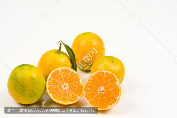 橘子收成時
