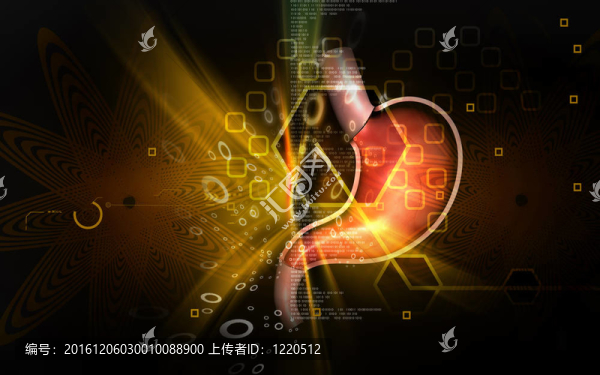 胃