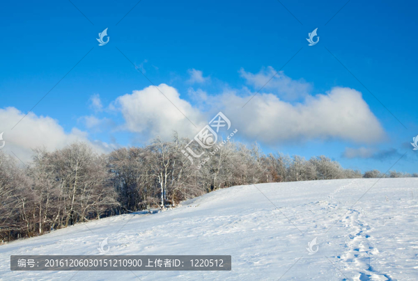 第一次冬季雪和高山山毛櫸森林