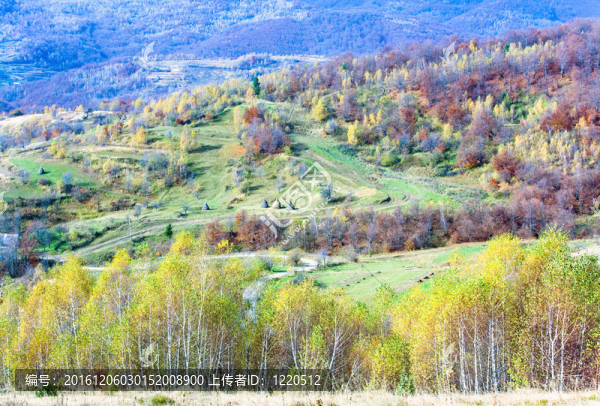 秋天的鄉(xiāng)村景觀（喀爾巴阡；烏克蘭）。