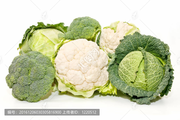 椰菜；花椰菜和花椰菜