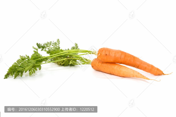 新鮮的胡蘿卜