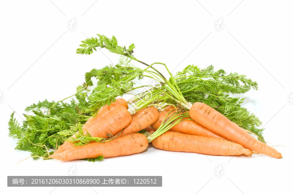 新鮮的胡蘿卜