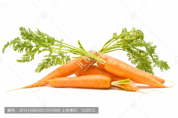 新鮮的胡蘿卜