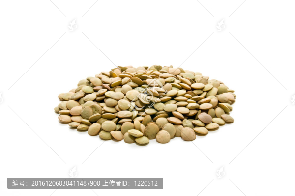 猶太人的生態(tài)