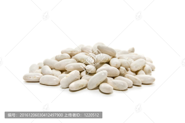 猶太人的生態(tài)