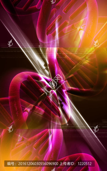 DNA