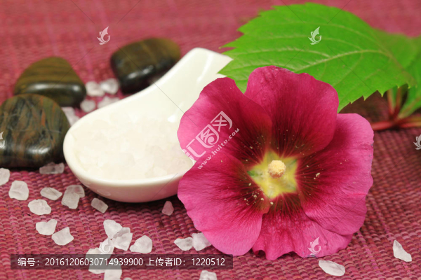 與錦葵美容
