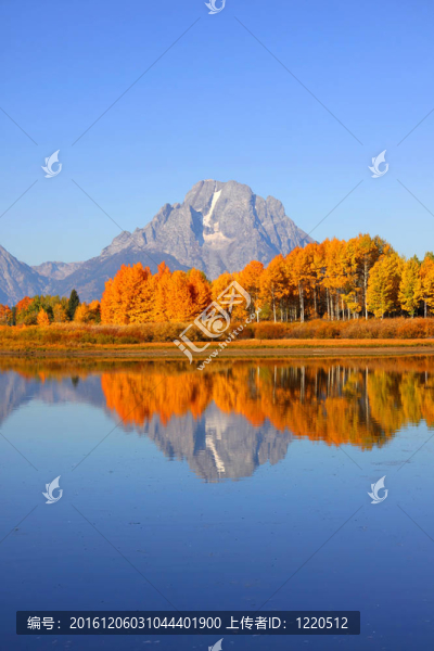 大提頓山脈