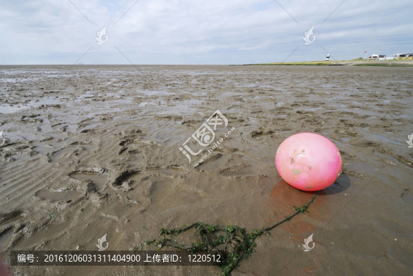 瓦登海