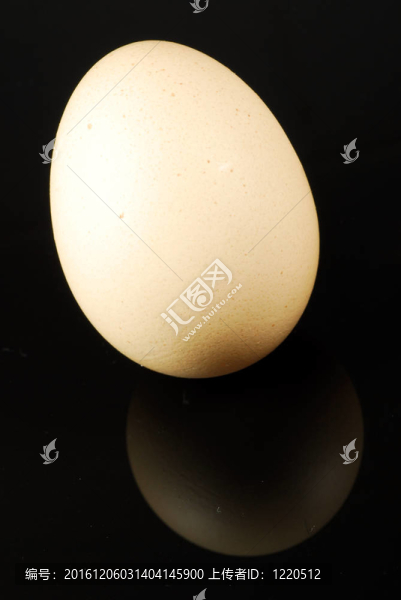 雞蛋