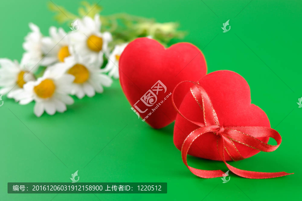 心和chamomiles